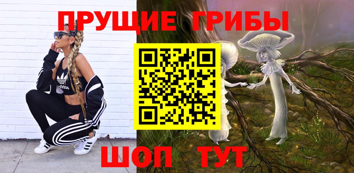 Псилоцибиновые грибы GOLDEN TEACHER Буйнакск