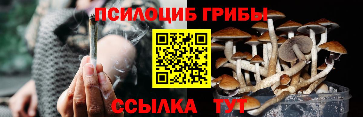 Псилоцибиновые грибы Magic Shrooms  Псилоцибиновые грибы GOLDEN TEACHER  Вход с VPN  Буйнакск 